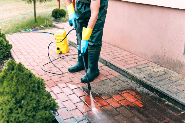Best Solar Panel Cleaning  in Pineville, KY